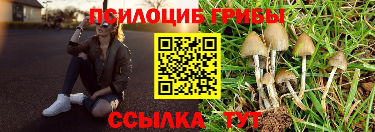 Галлюциногенные грибы мухоморы Вязники