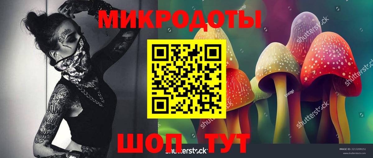 Вязники  Псилоцибиновые грибы Cubensis  Вход с VPN 